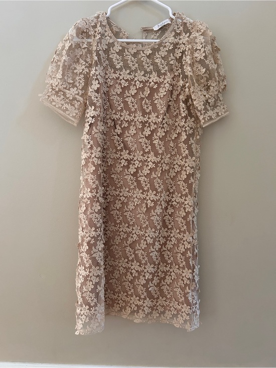 Bronx and Banco Dresses & Skirts - Delicate Lace Overlay Shift Dress in Beige - Women